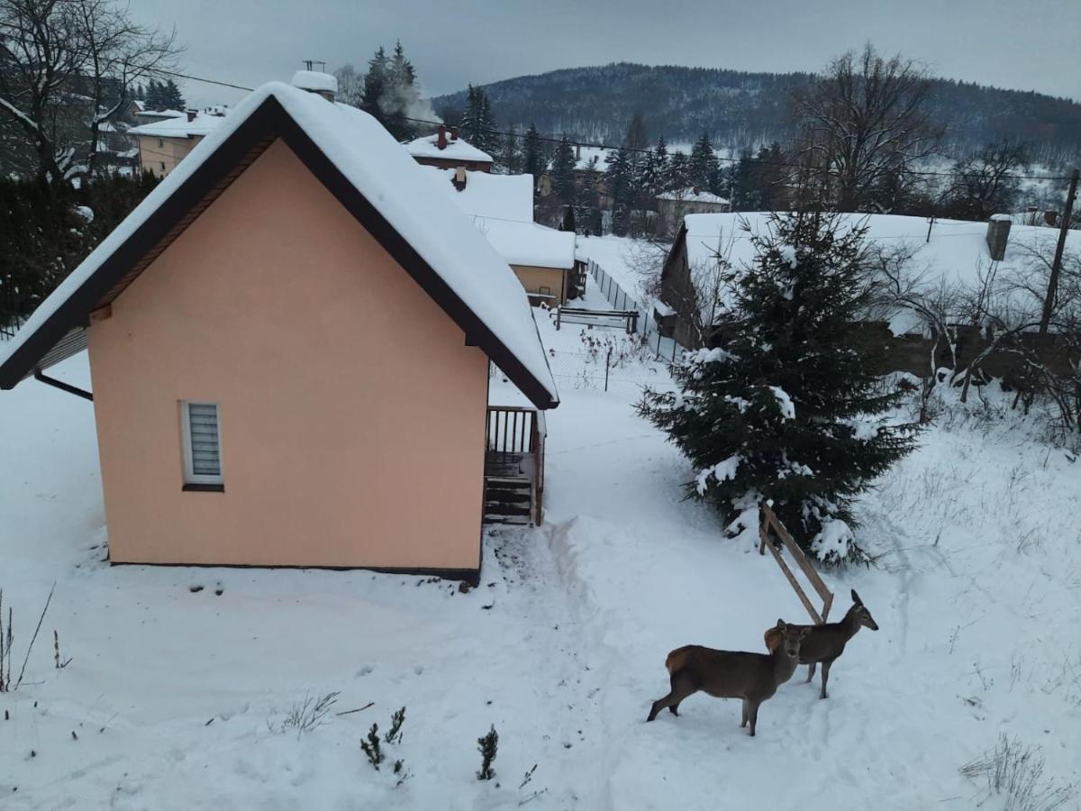 Brzoskwiniowy Domek Ustrzyki Dolne Exteriör bild